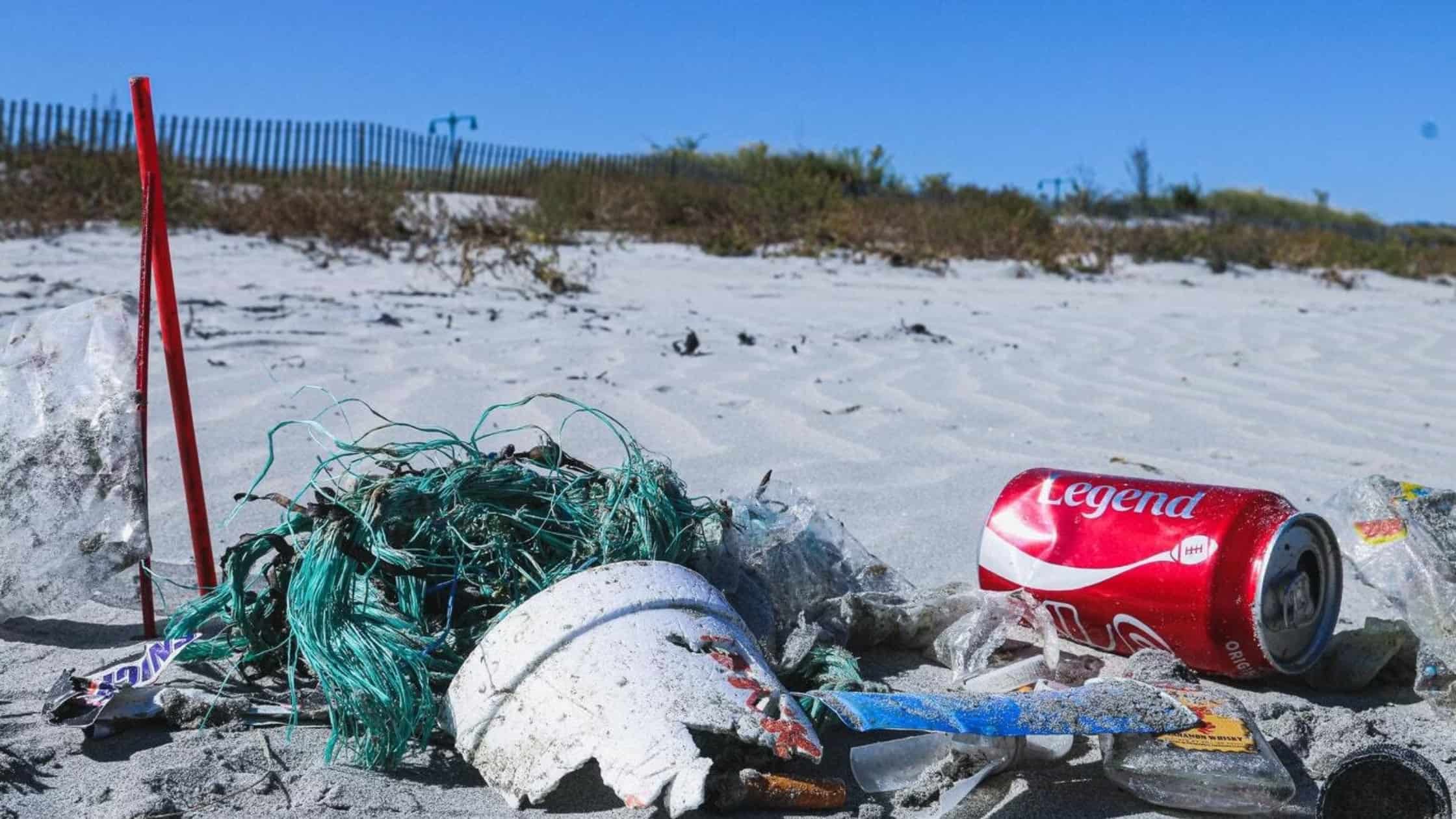 Beach Clean Uk Feature