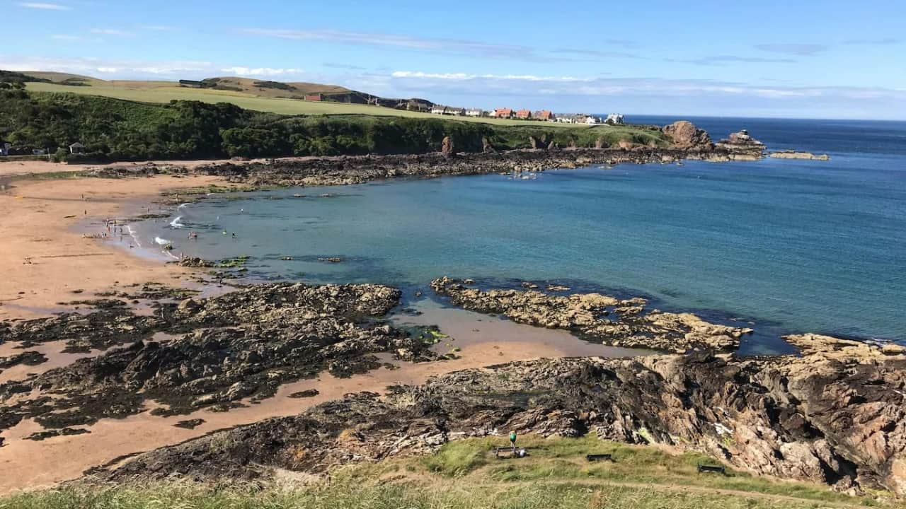 Snorkelling In Scotland Feature