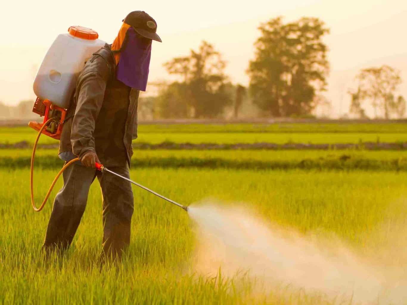 What-Is-Soil-Health-8
