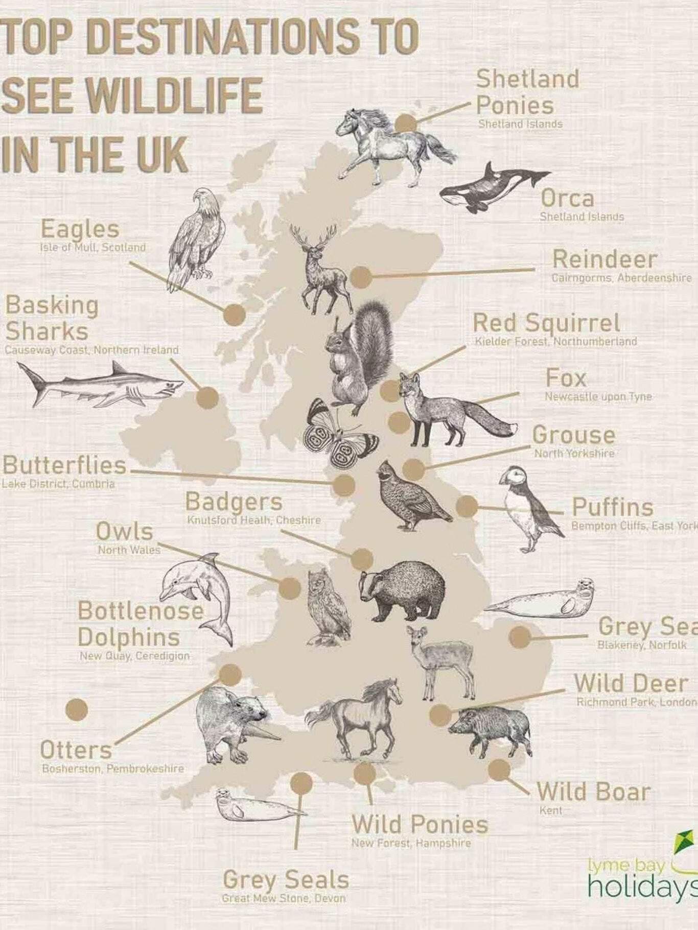 Where To See Wildlife In The UK